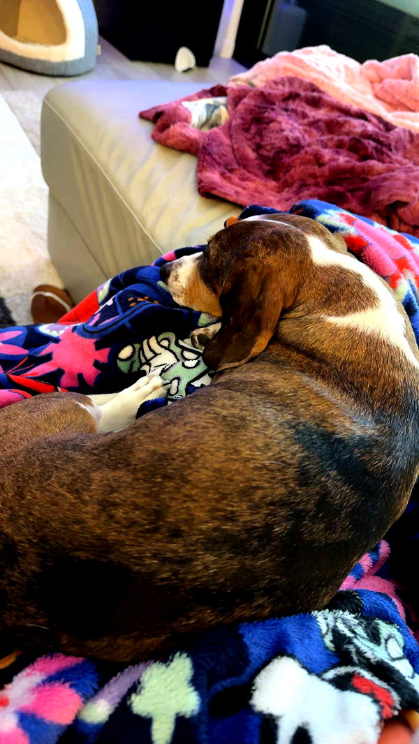 kendallwheelerr image ~ Altpins