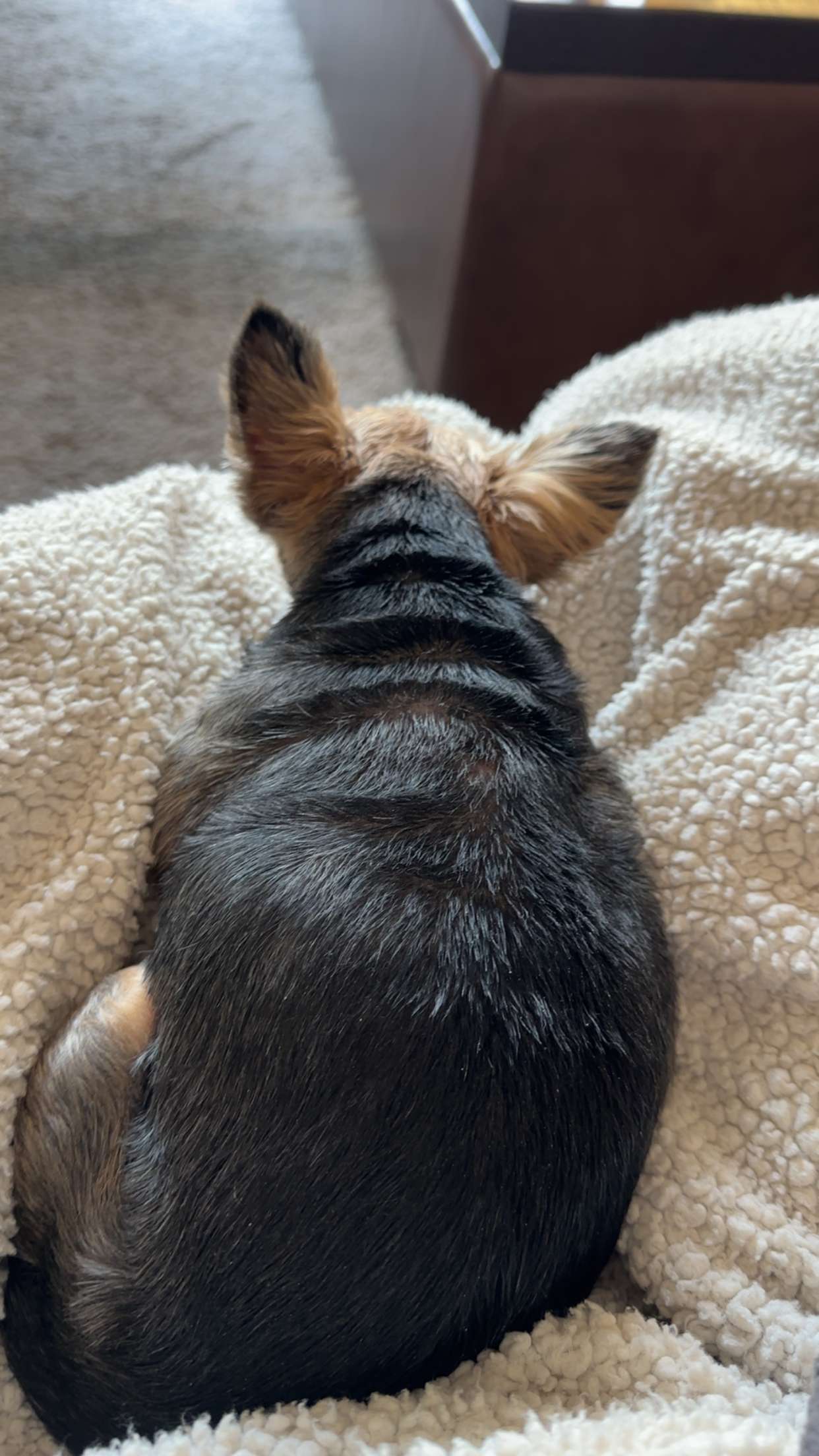 kendallwheelerr snapchat image archive image