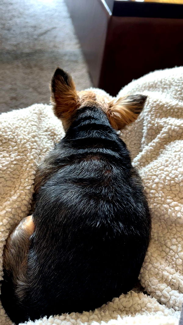 kendallwheelerr image ~ Altpins