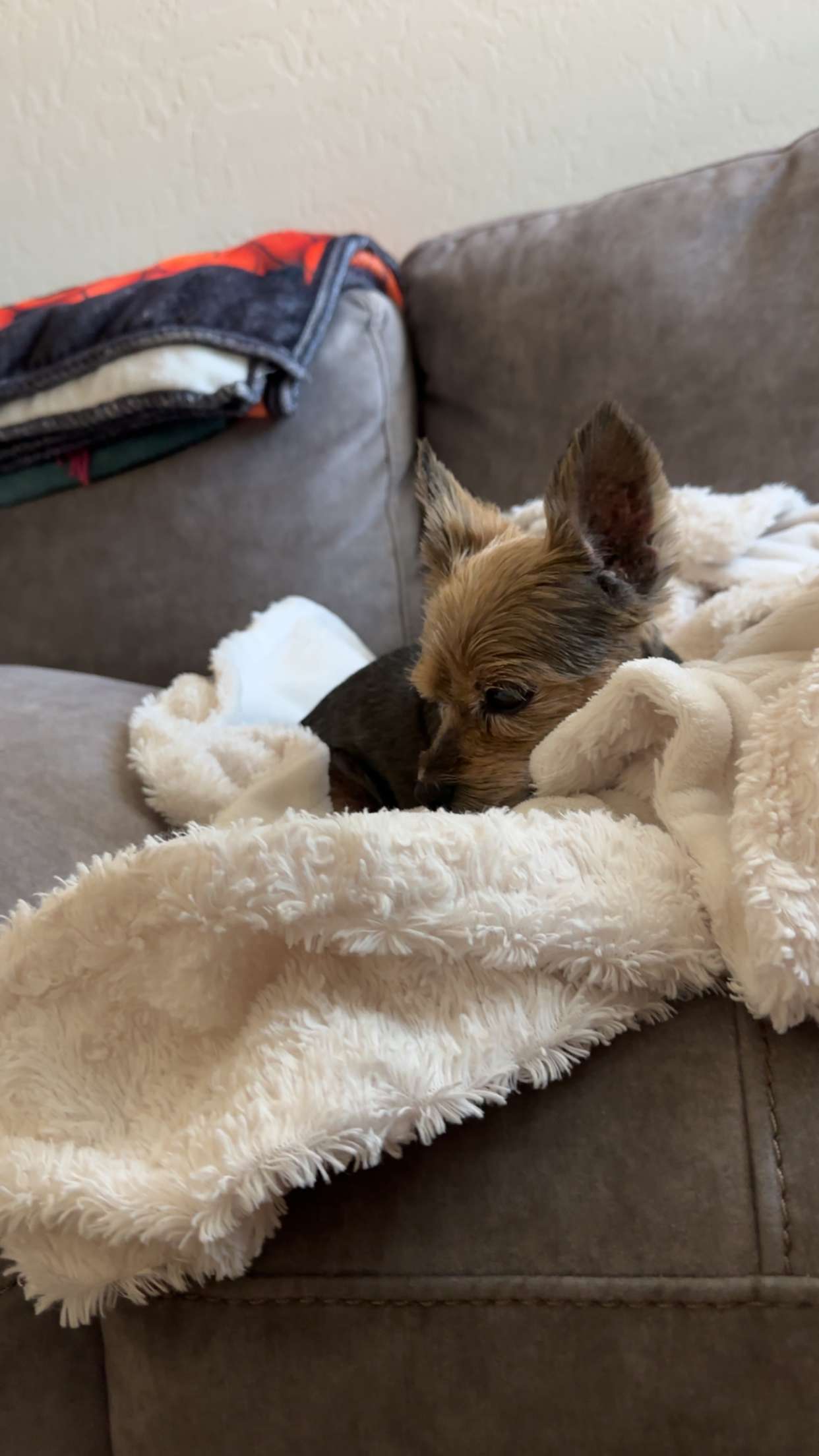 kendallwheelerr snapchat image archive image