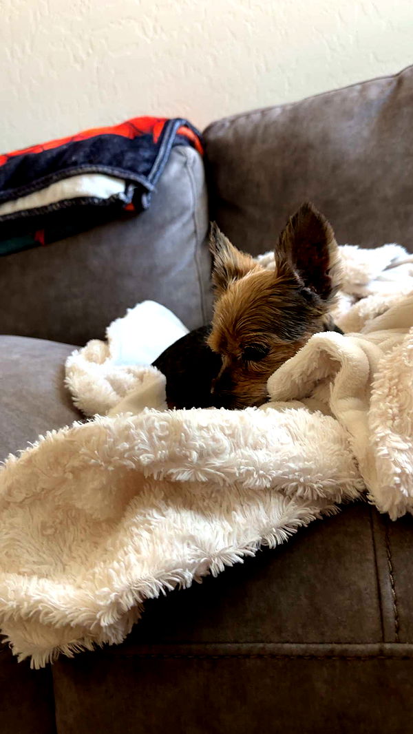 kendallwheelerr image ~ Altpins