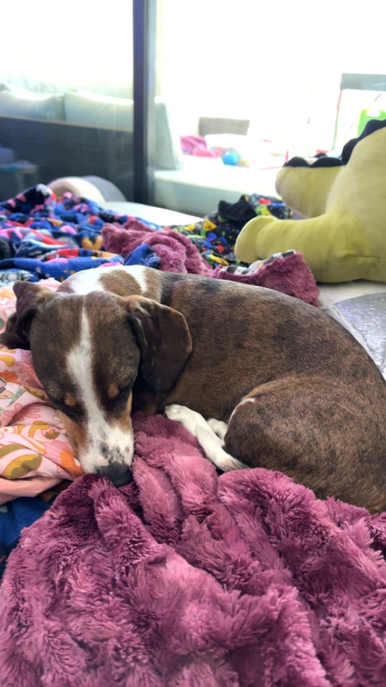 kendallwheelerr snapchat image archive image