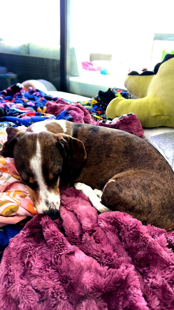 kendallwheelerr image ~ Altpins