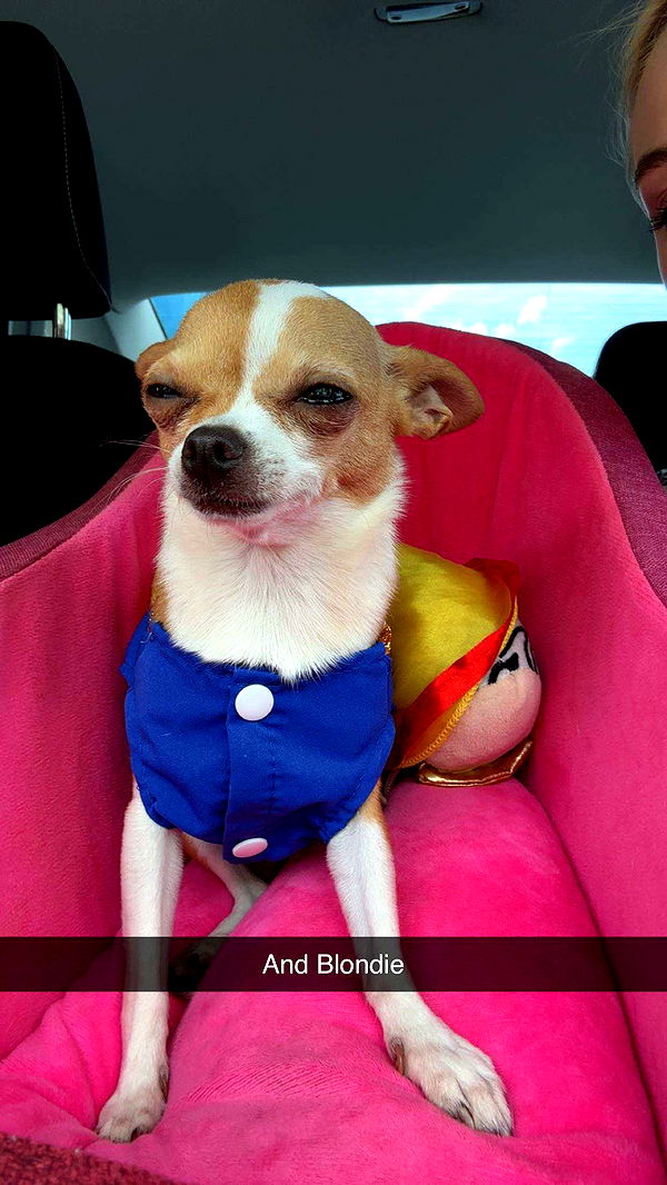 kendallwheelerr image ~ Altpins