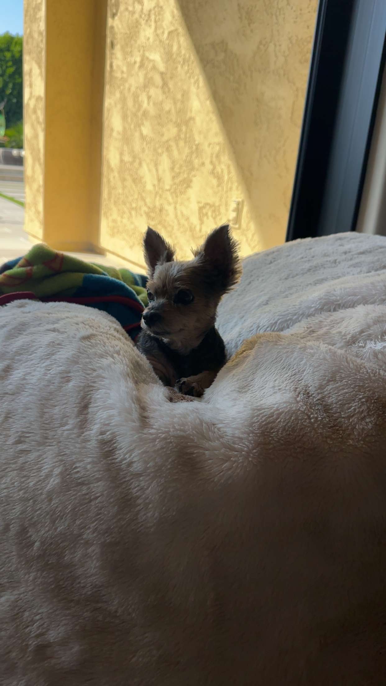 kendallwheelerr snapchat image archive image