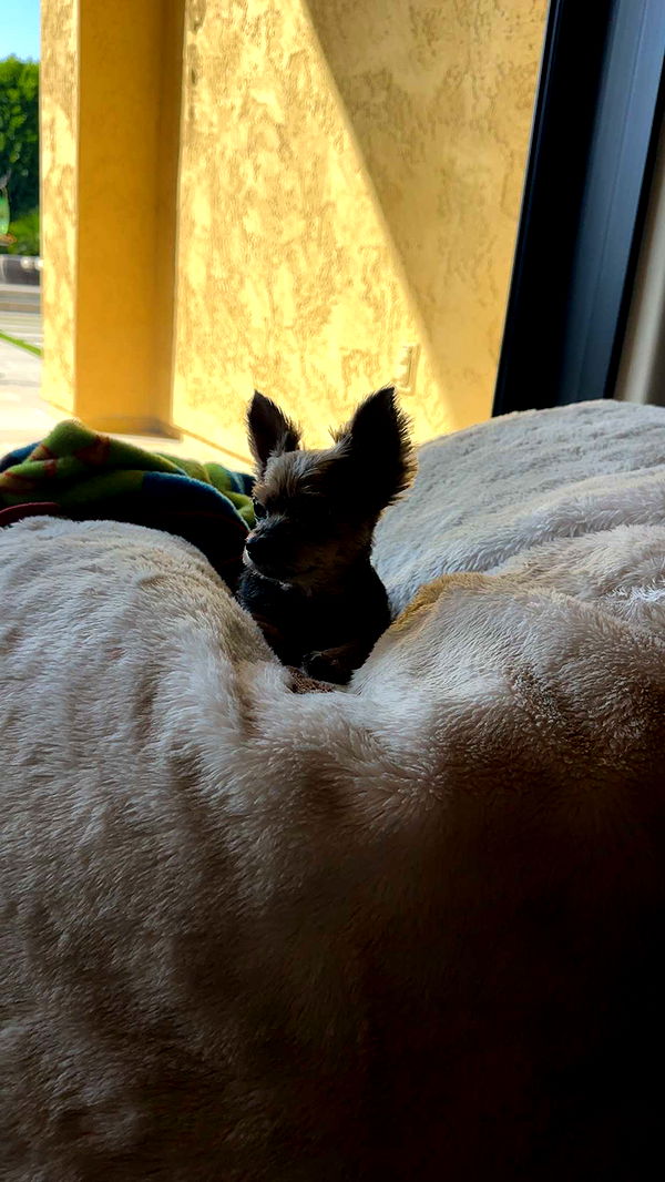 kendallwheelerr image ~ Altpins