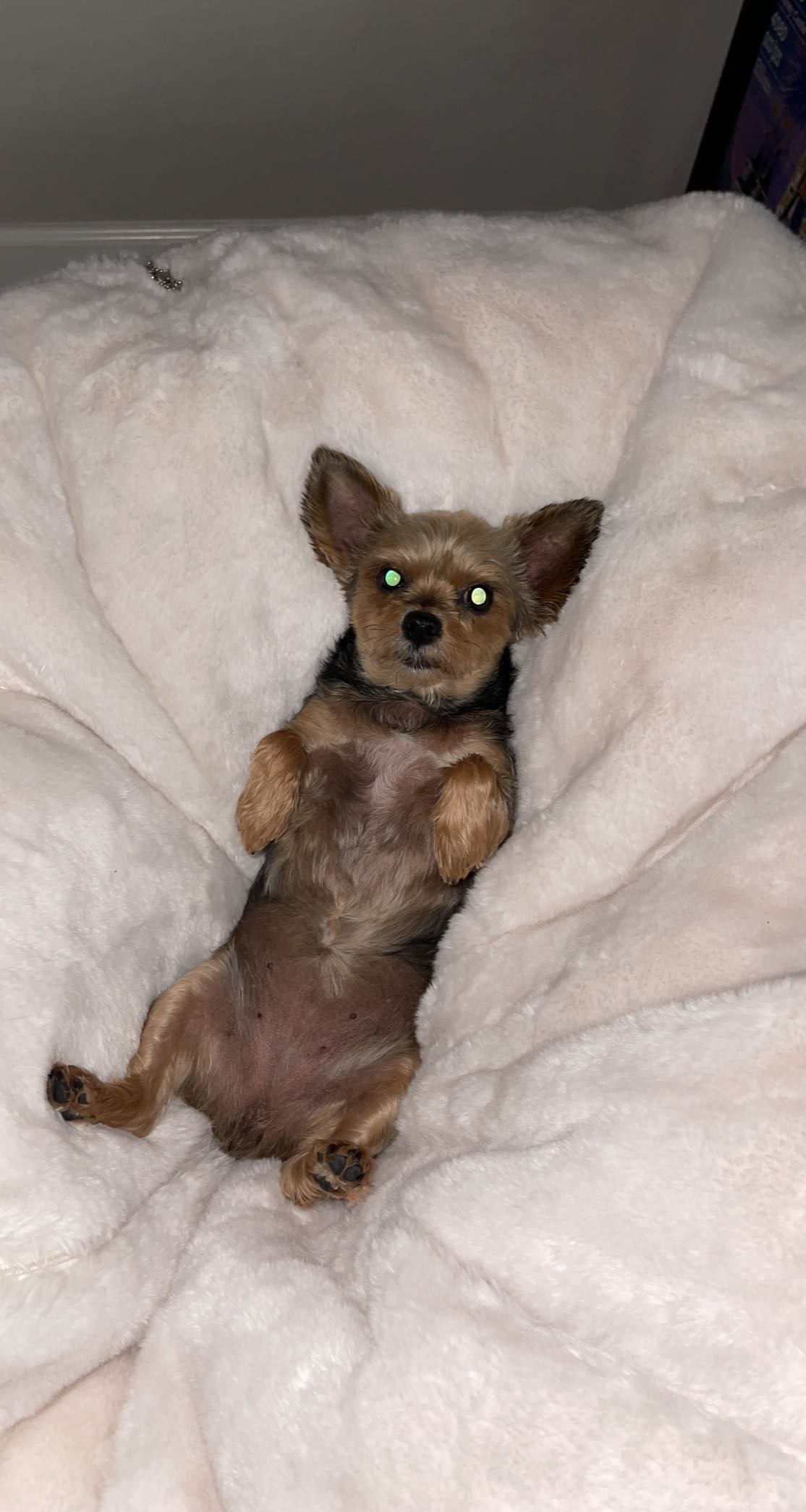 kendallwheelerr snapchat image archive image