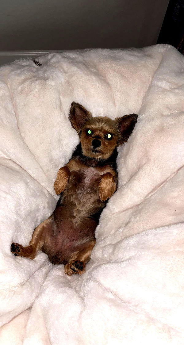 kendallwheelerr image ~ Altpins