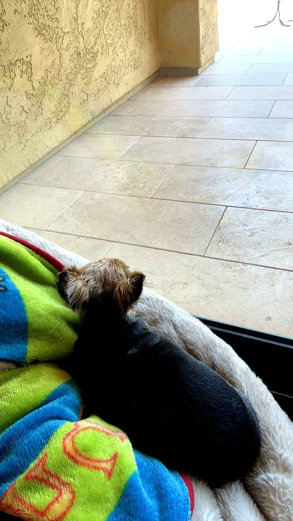 kendallwheelerr image ~ Altpins