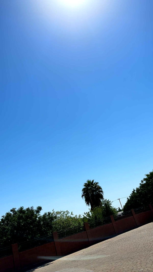 kendallwheelerr image ~ Altpins