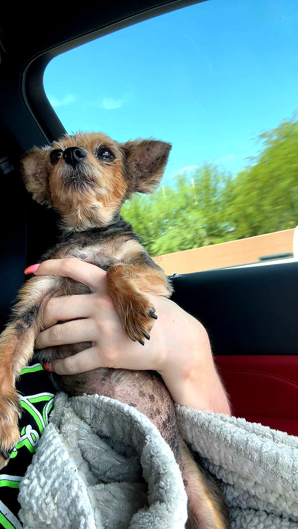 kendallwheelerr image ~ Altpins