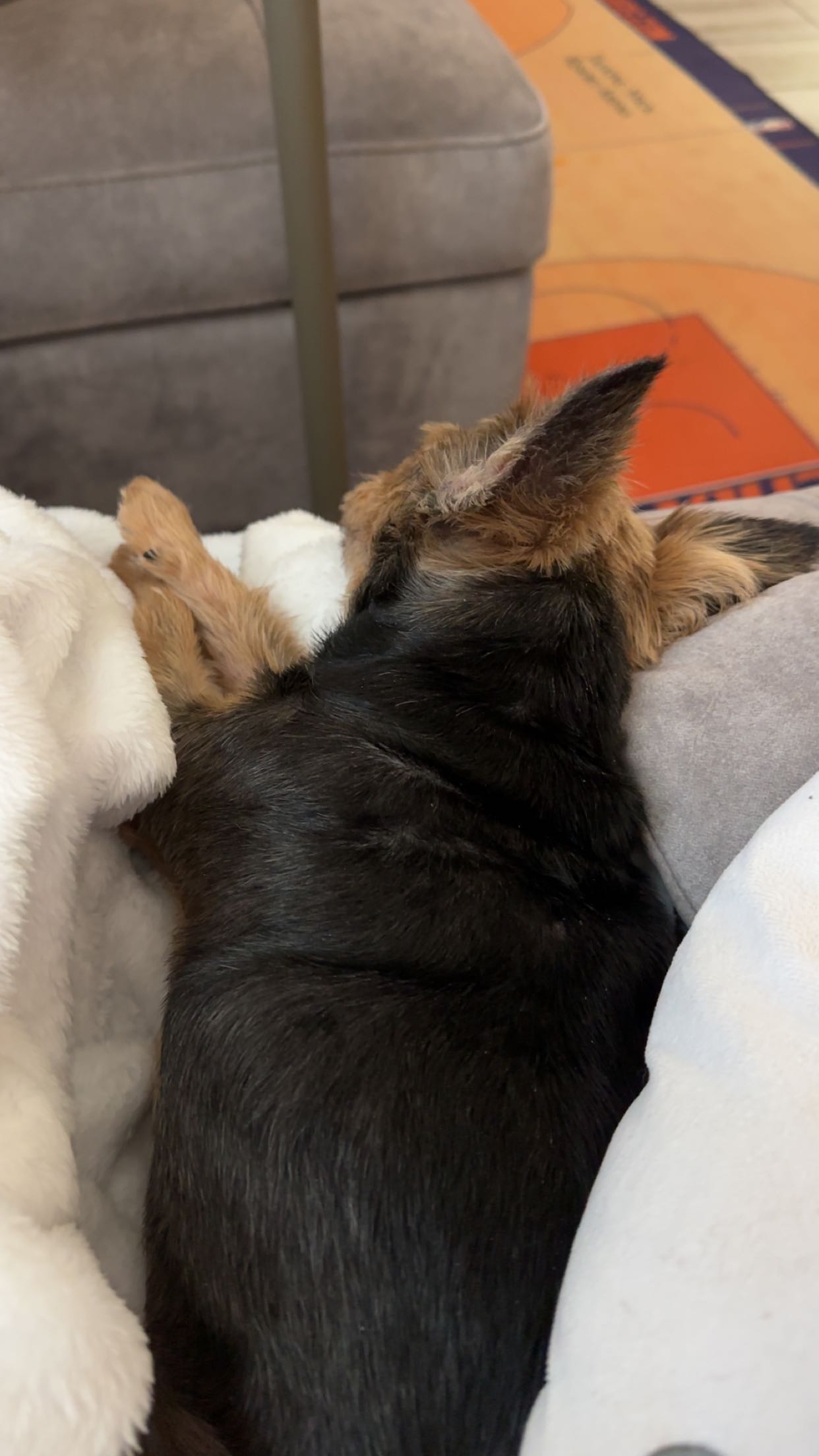 kendallwheelerr snapchat image archive image