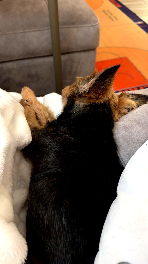 kendallwheelerr image ~ Altpins