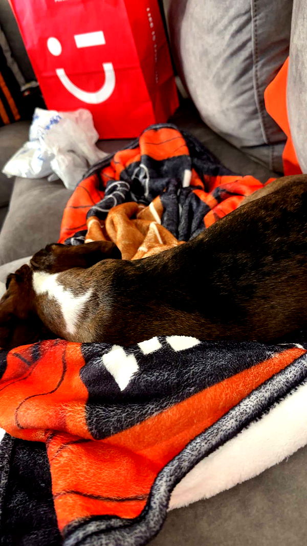 kendallwheelerr image ~ Altpins