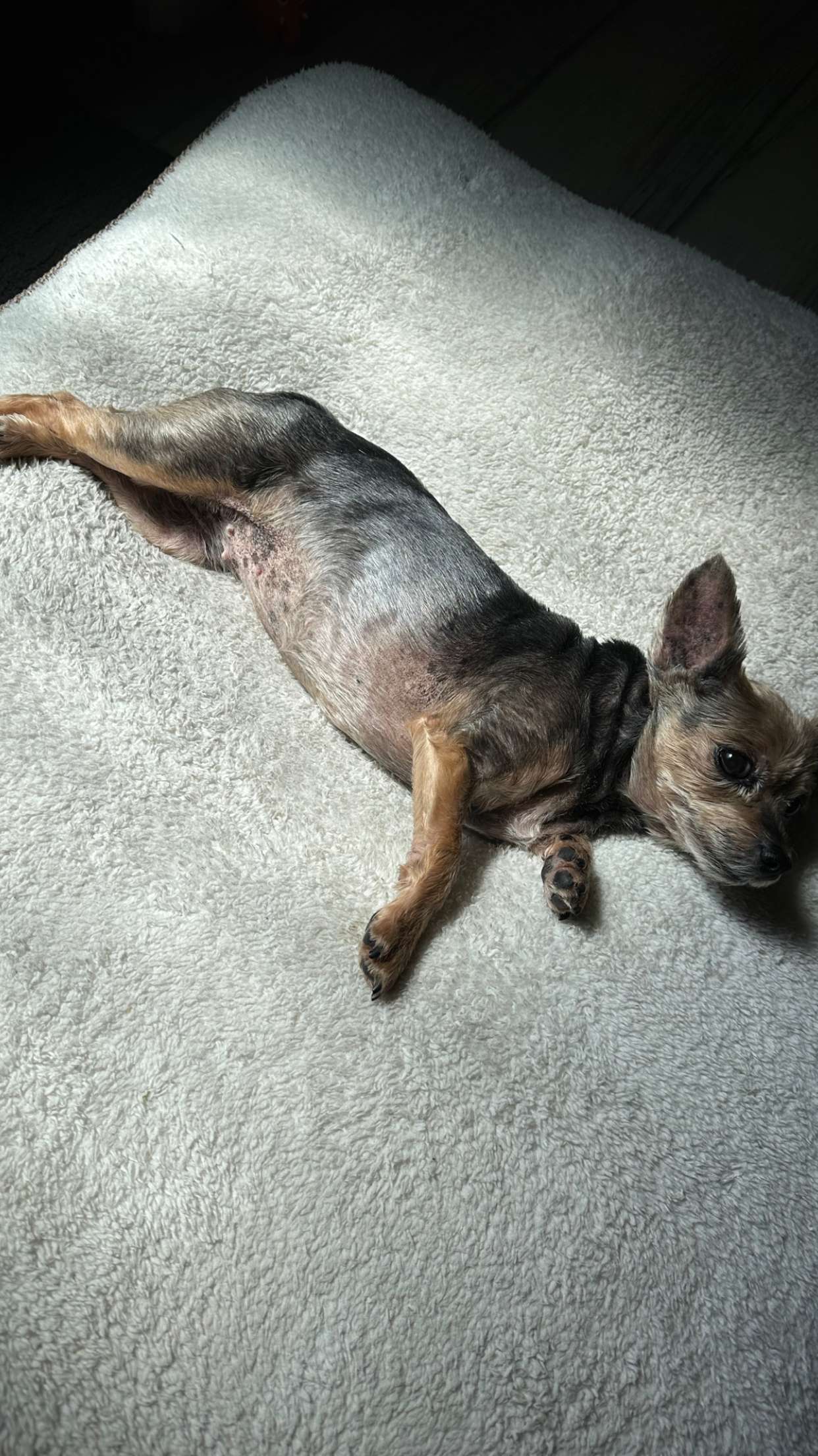 kendallwheelerr snapchat image archive image