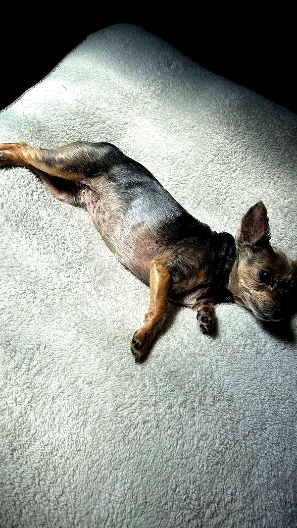 kendallwheelerr image ~ Altpins