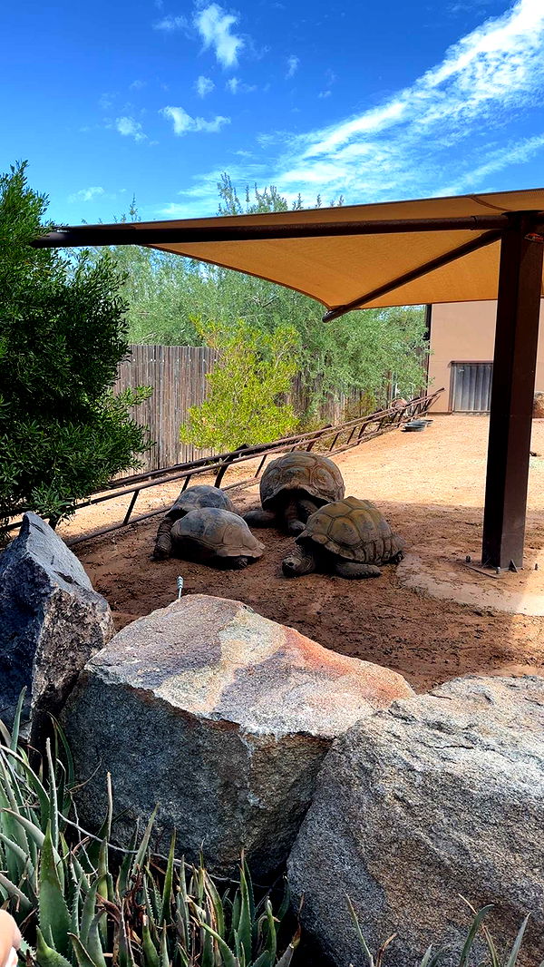 kendallwheelerr image ~ Altpins