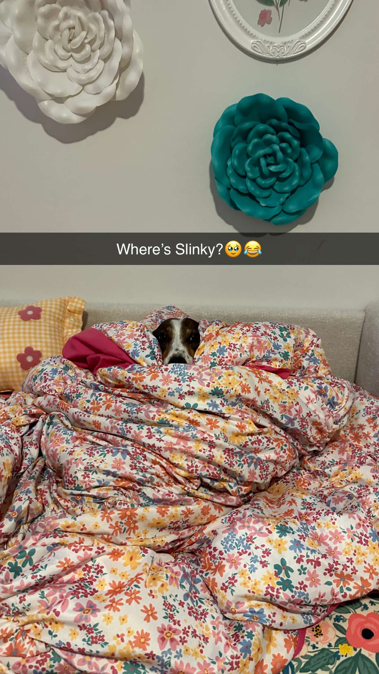 kendallwheelerr snapchat image archive image