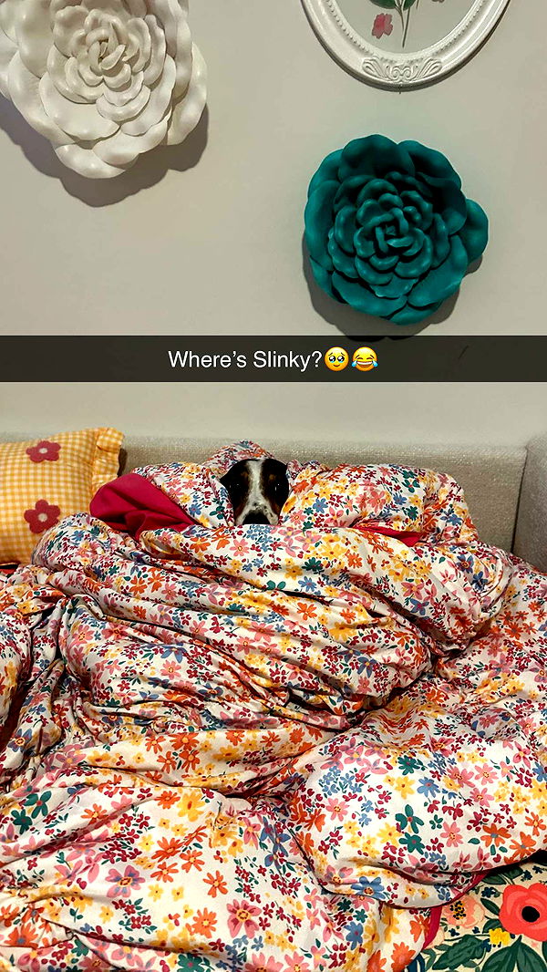 kendallwheelerr image ~ Altpins