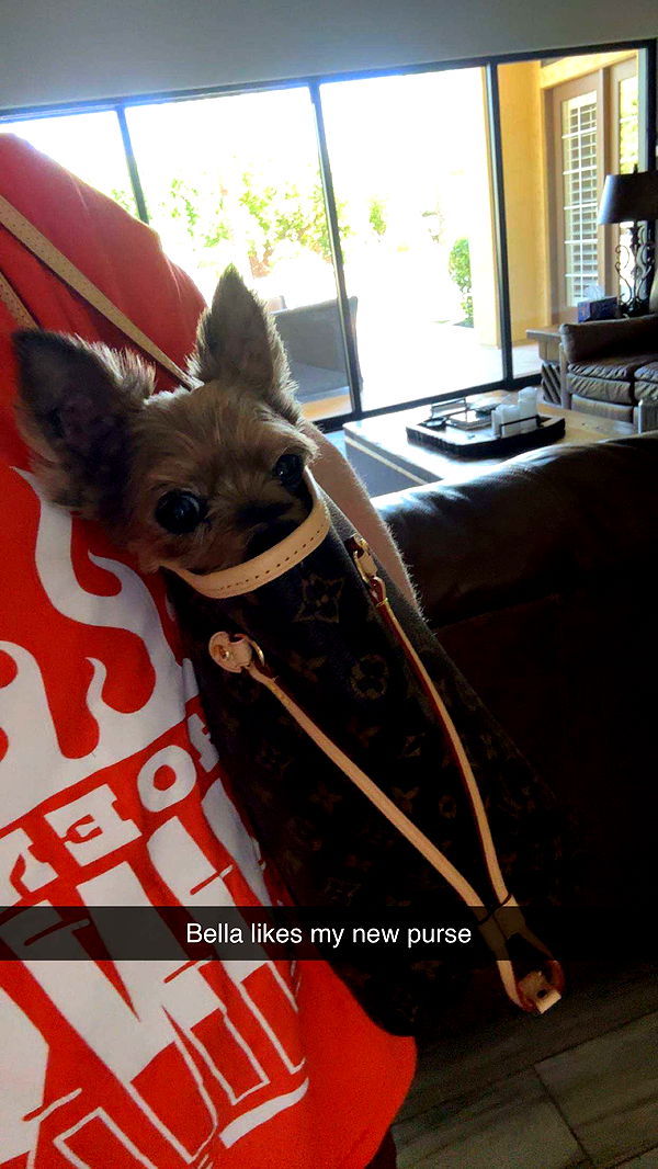 kendallwheelerr image ~ Altpins