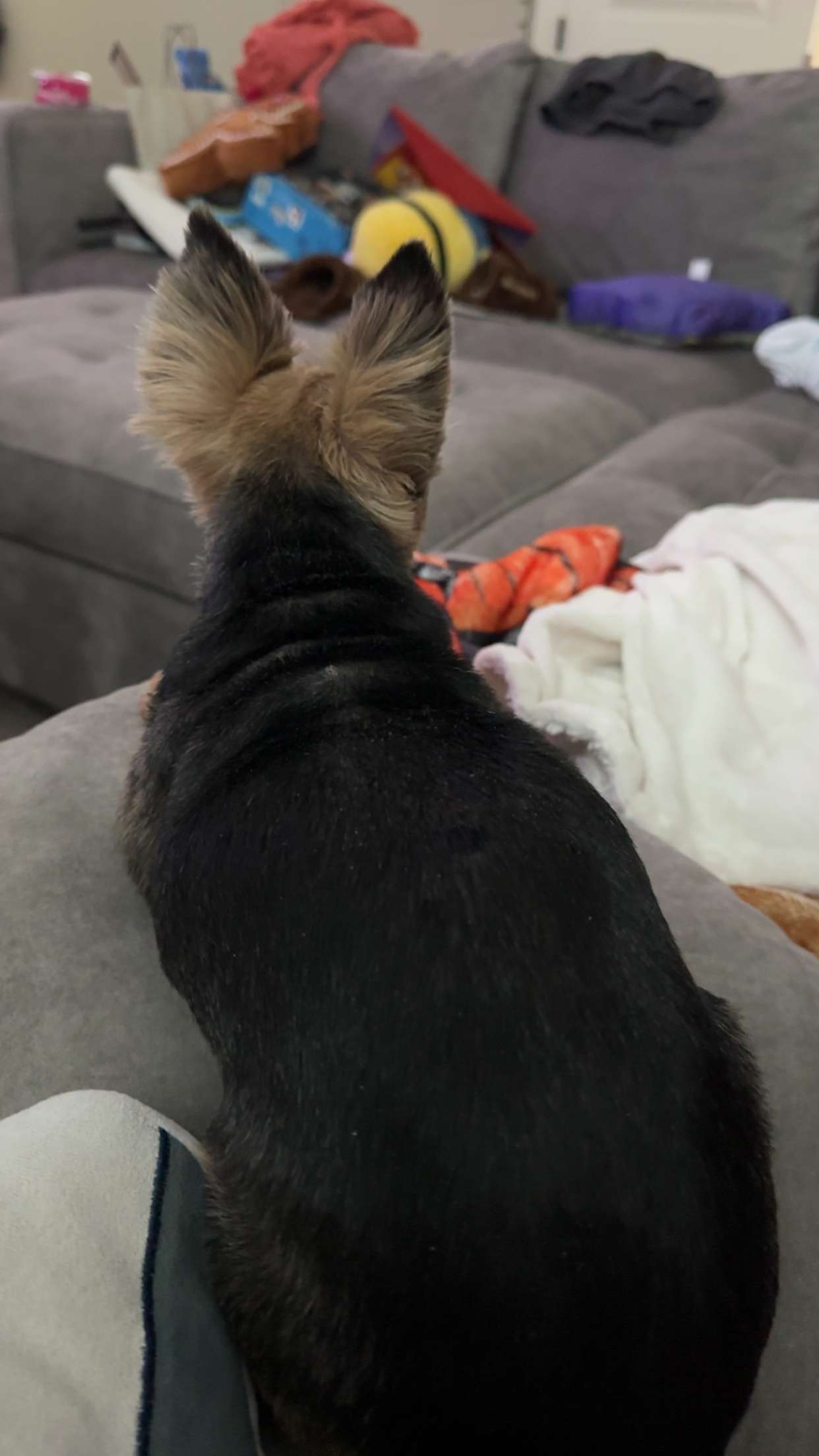 kendallwheelerr snapchat image archive image