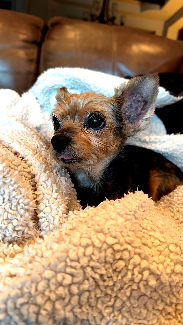 kendallwheelerr image ~ Altpins