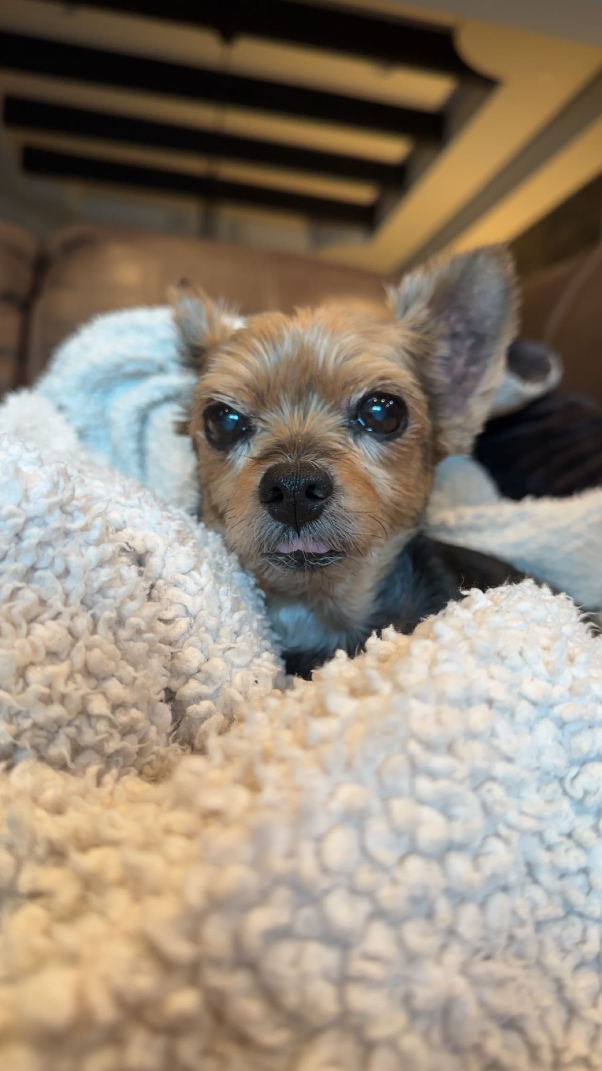 kendallwheelerr snapchat image archive image