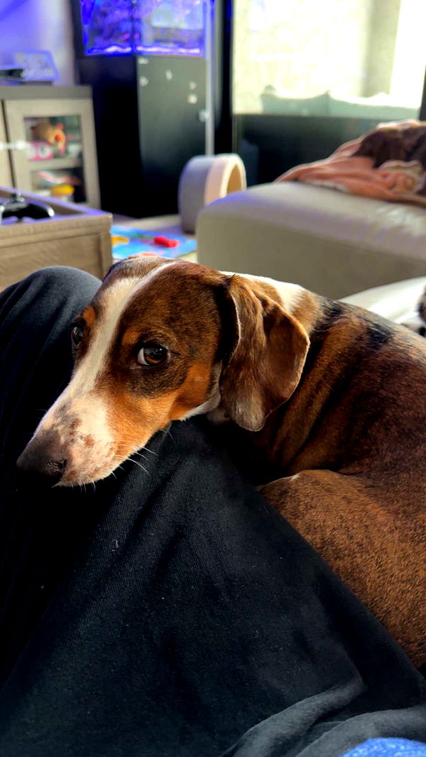 kendallwheelerr image ~ Altpins