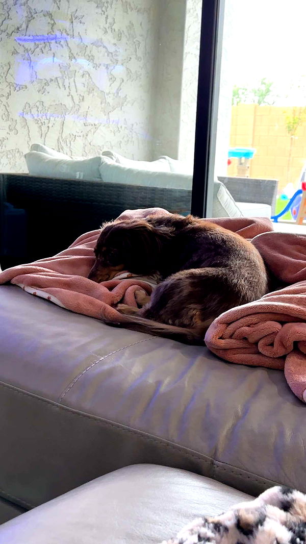 kendallwheelerr image ~ Altpins