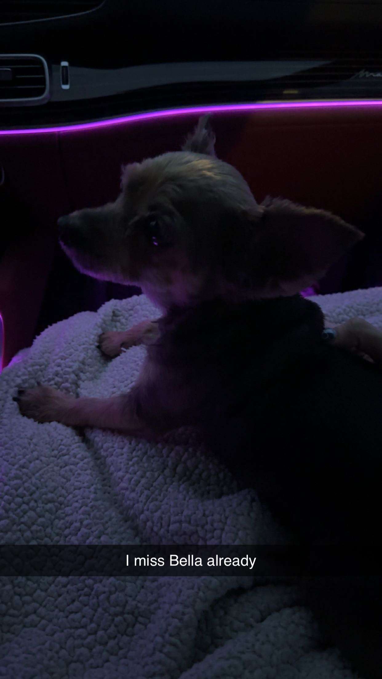 kendallwheelerr snapchat image archive image