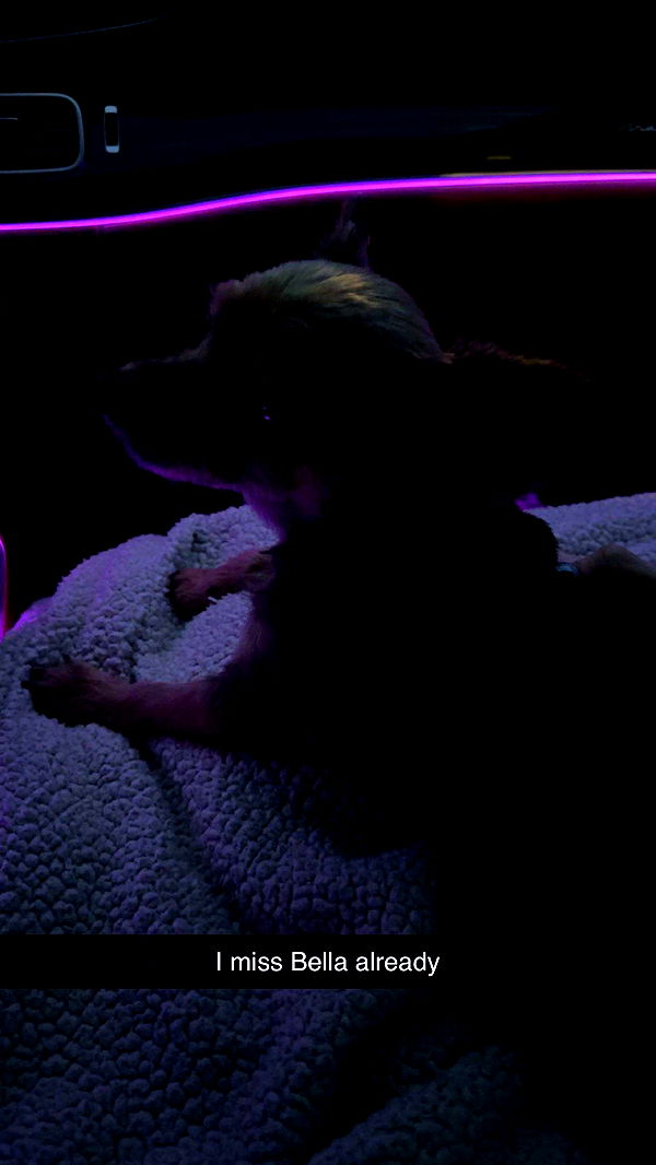 kendallwheelerr image ~ Altpins