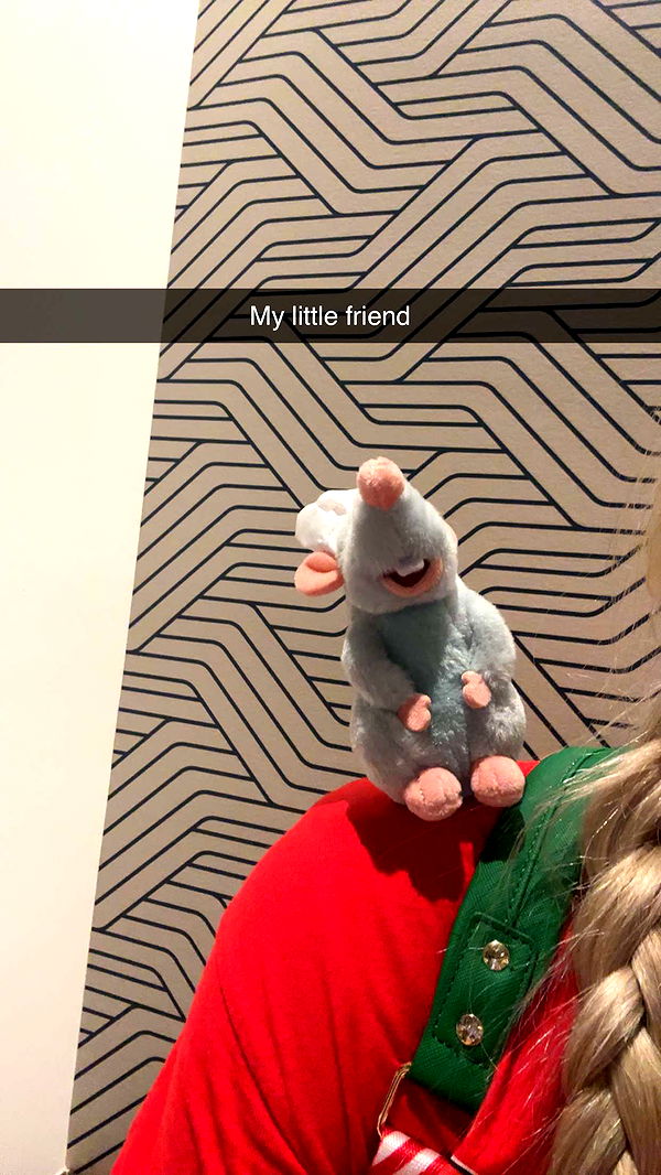 kendallwheelerr image ~ Altpins