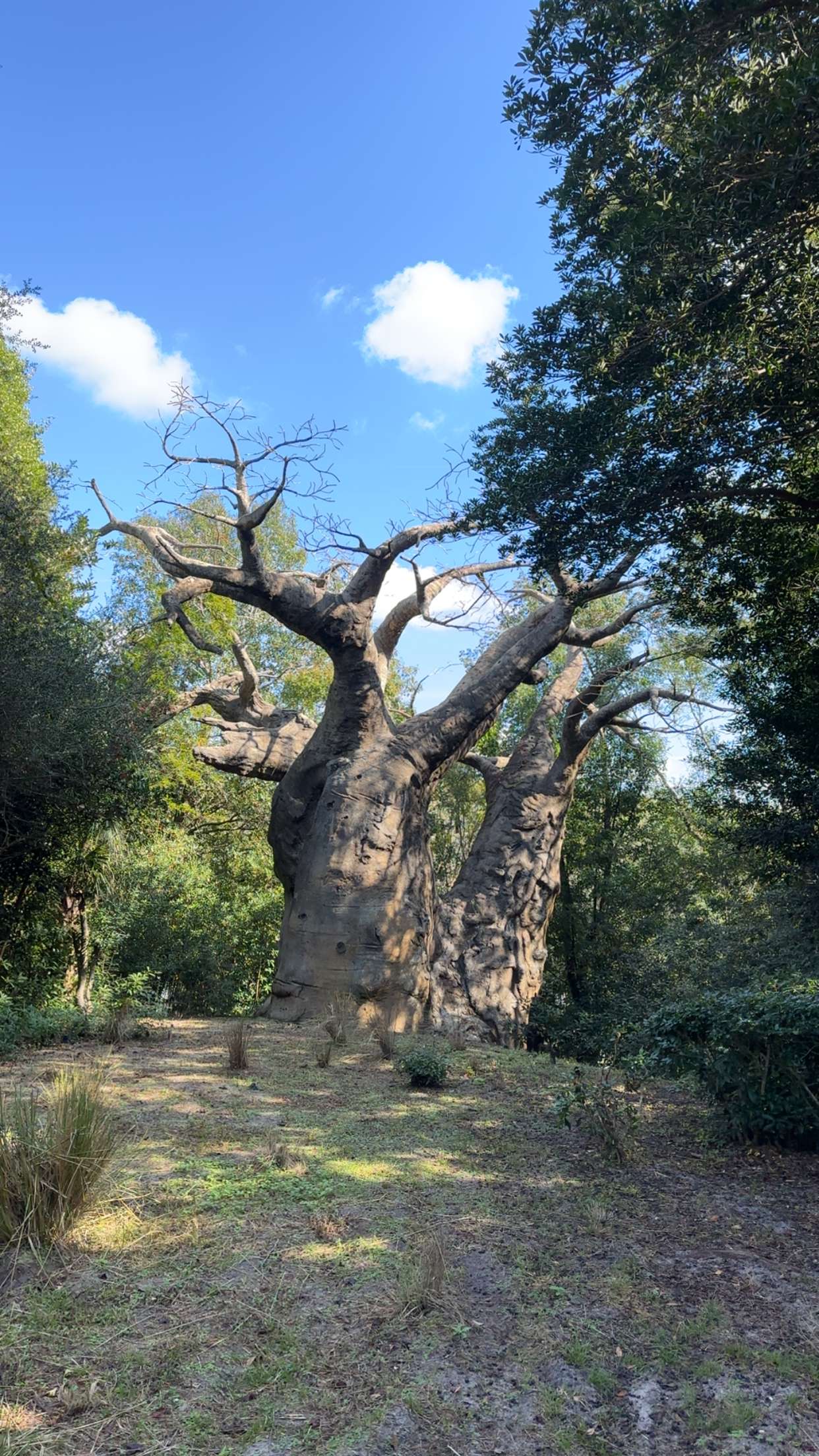 kendallwheelerr snapchat image archive image