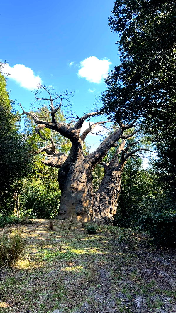 kendallwheelerr image ~ Altpins