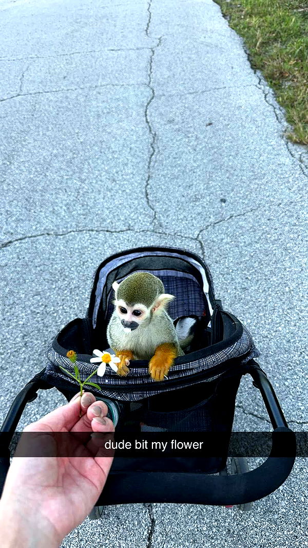 kkierstenking image ~ Altpins