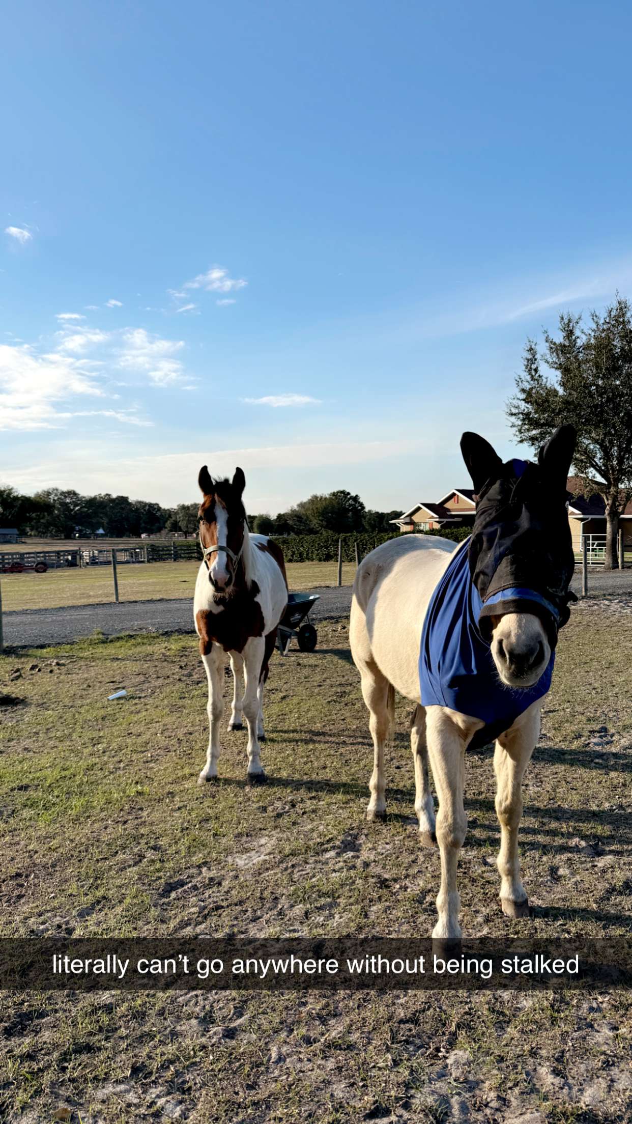 kkierstenking snapchat image archive image