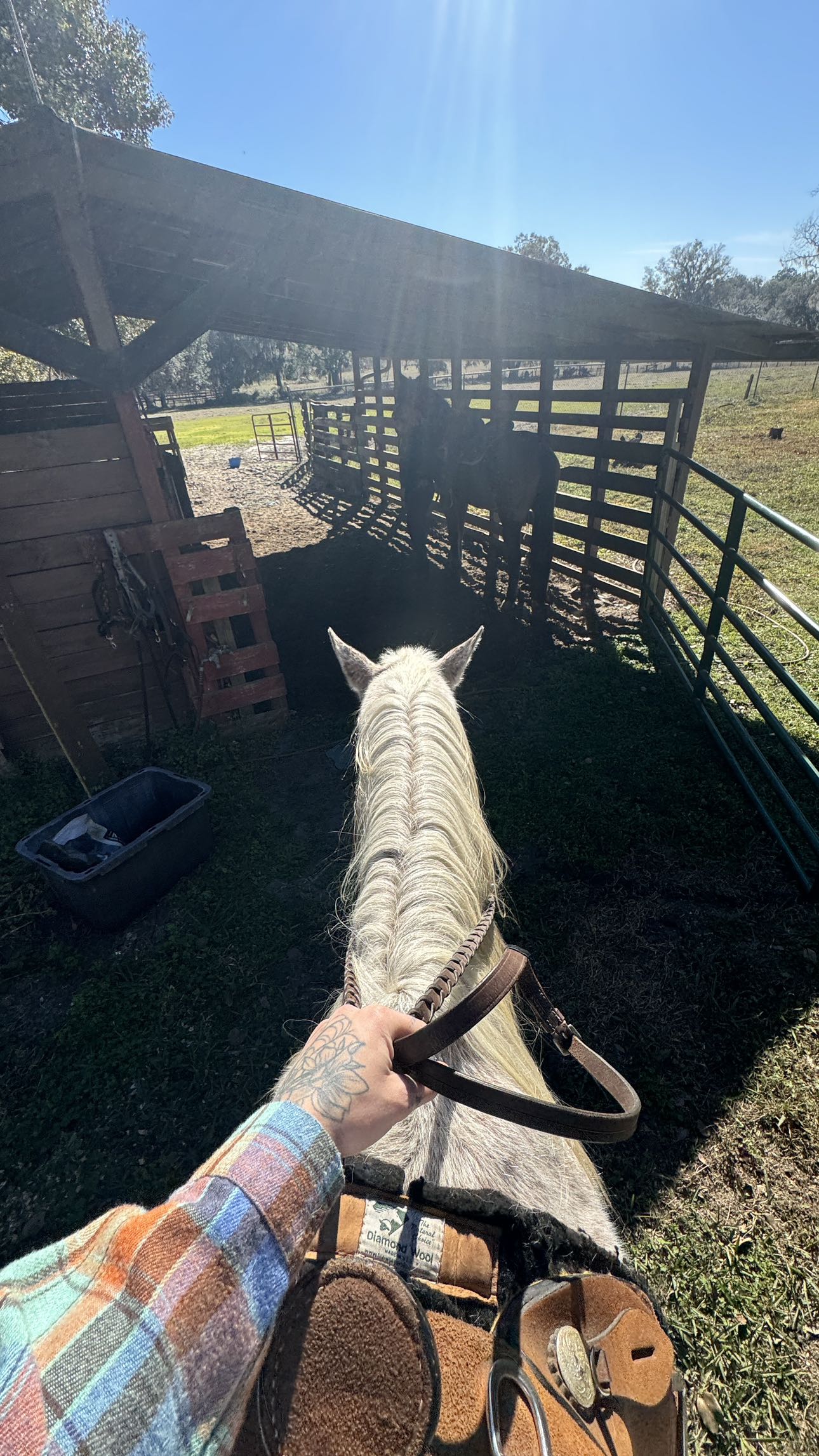 kkierstenking snapchat image archive image