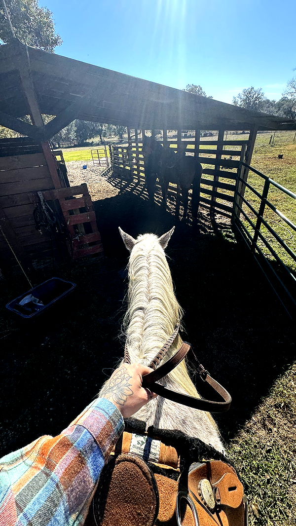 kkierstenking image ~ Altpins