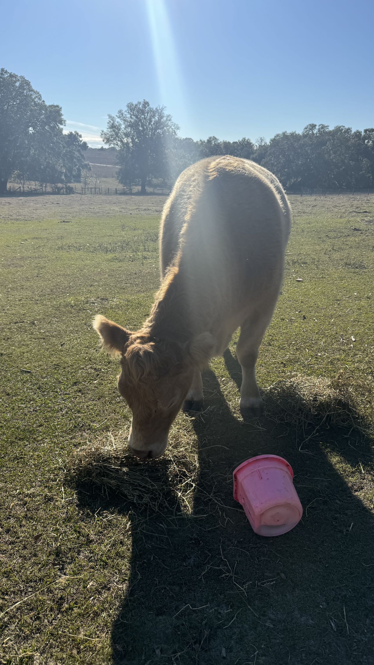 kkierstenking snapchat image archive image