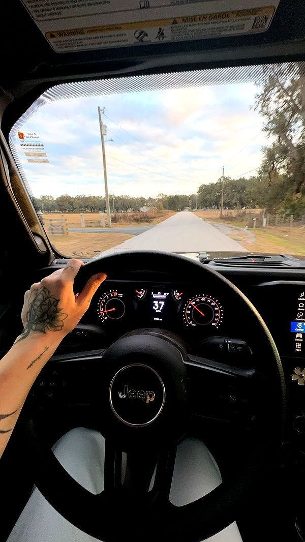 kkierstenking image ~ Altpins