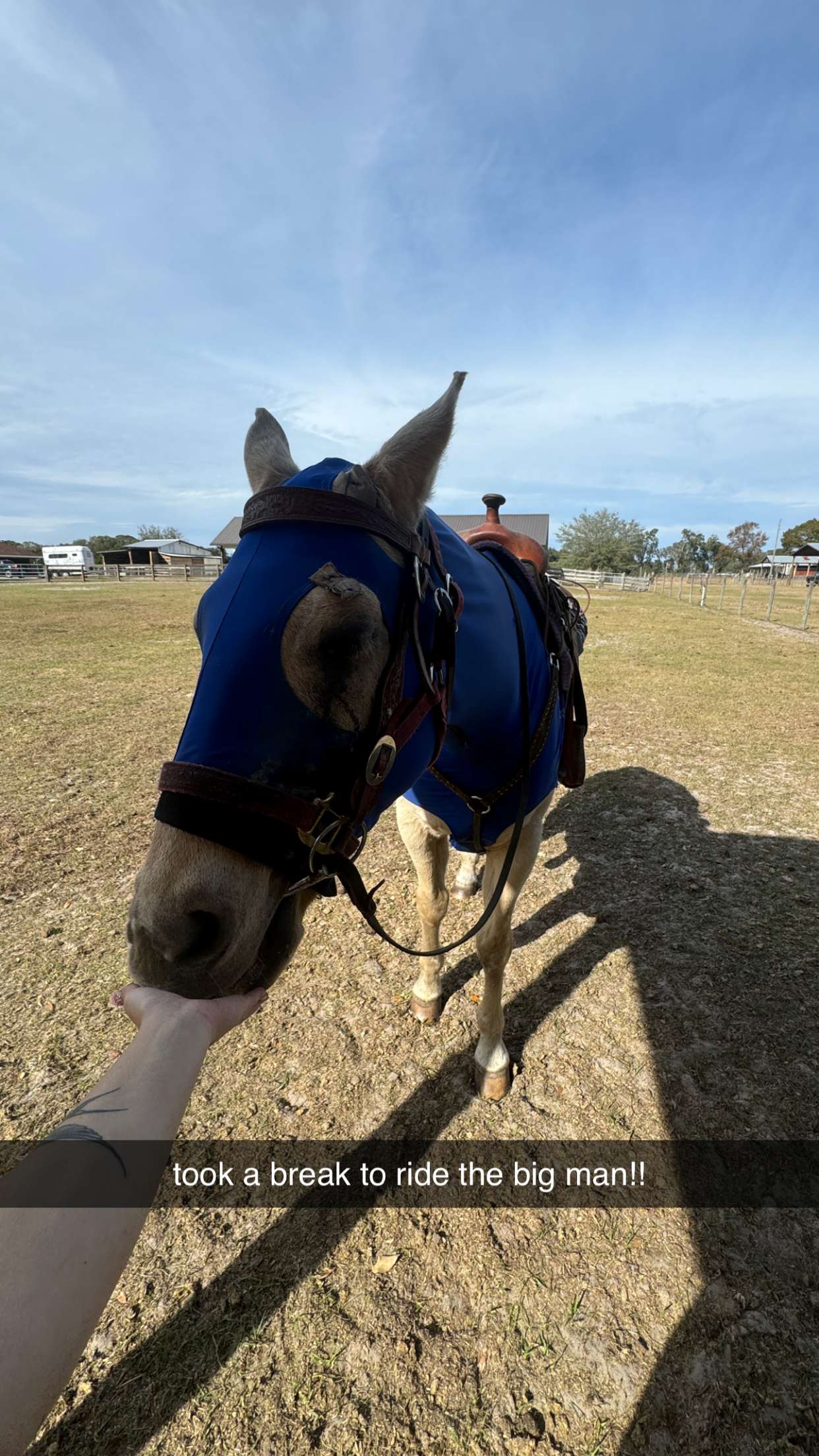 kkierstenking snapchat image archive image