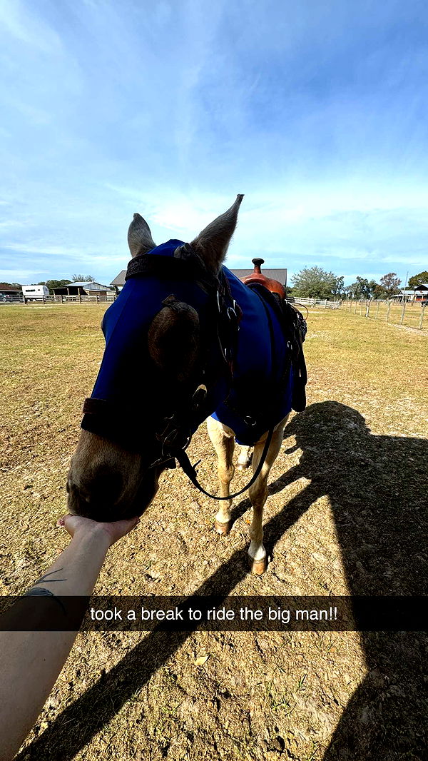 kkierstenking image ~ Altpins