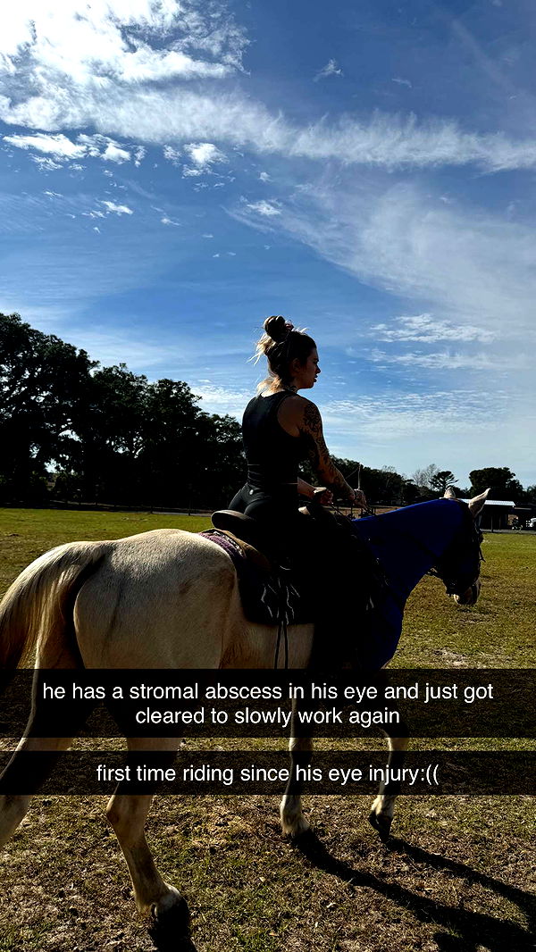 kkierstenking image ~ Altpins