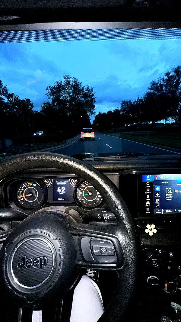 kkierstenking image ~ Altpins