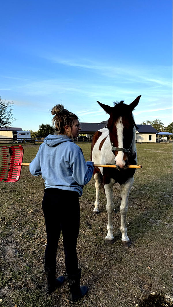 kkierstenking image ~ Altpins