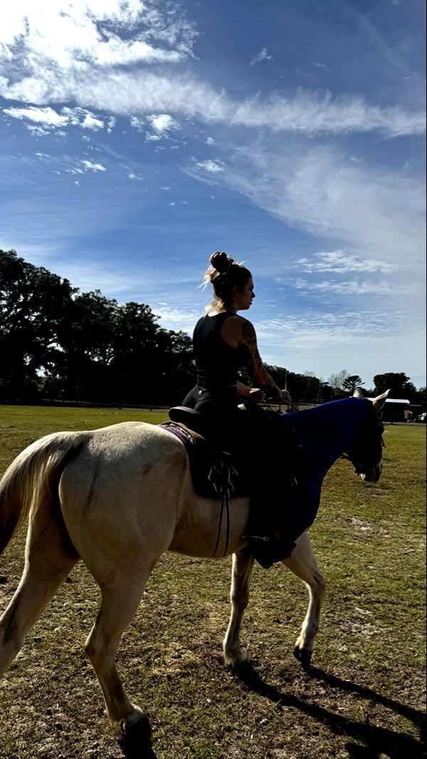 kkierstenking image ~ Altpins