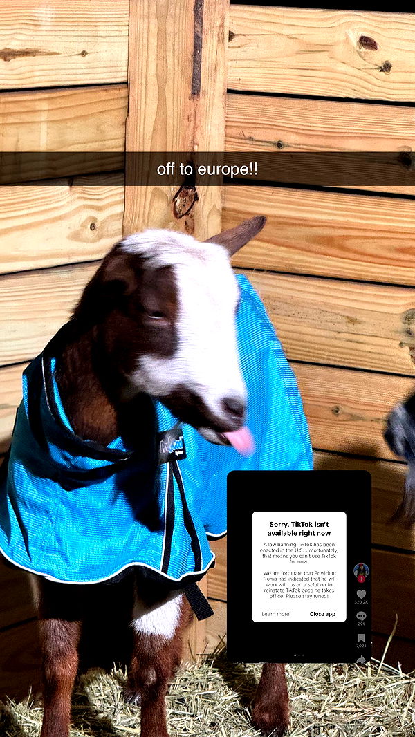 kkierstenking image ~ Altpins