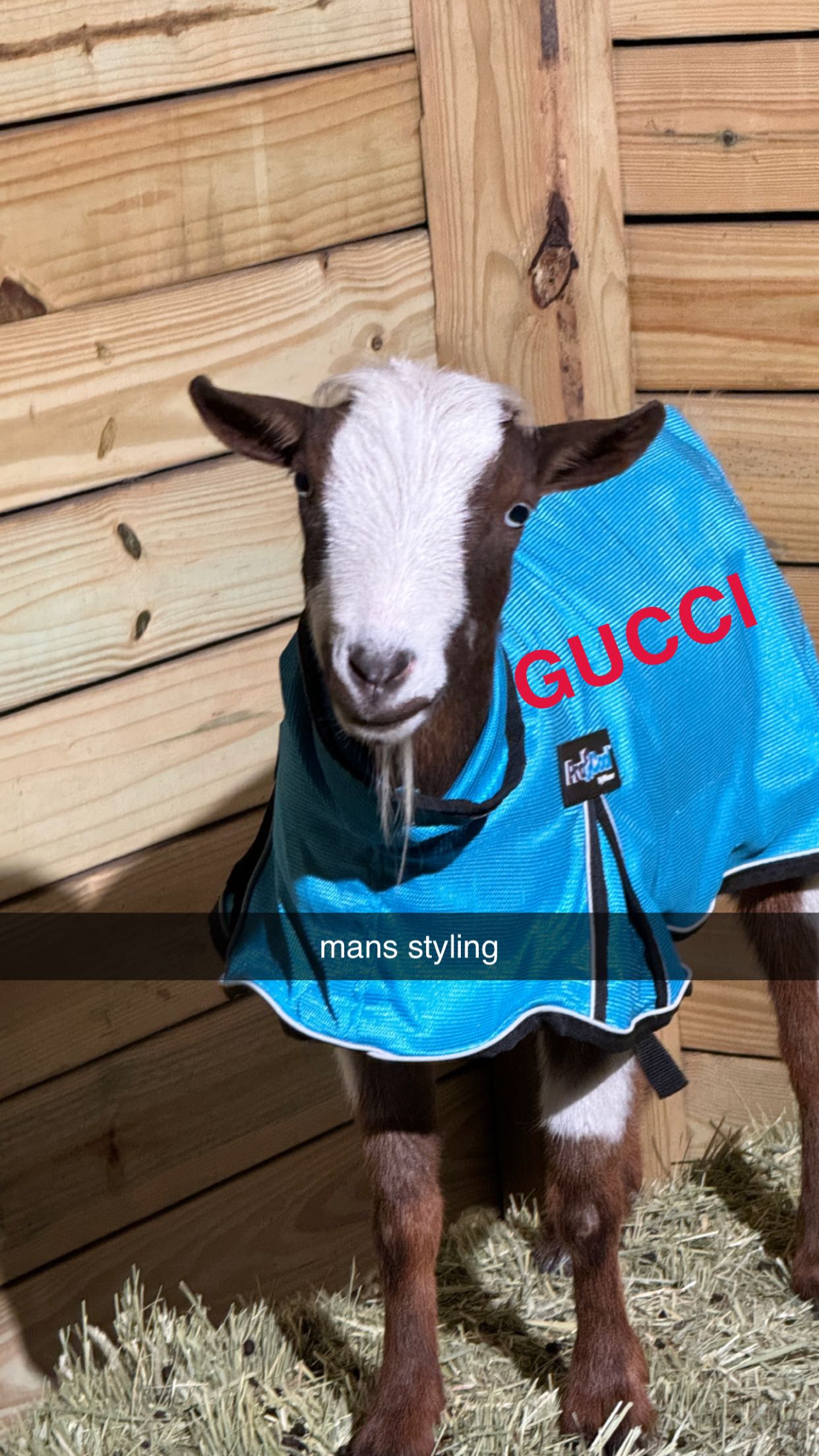 kkierstenking snapchat image archive image