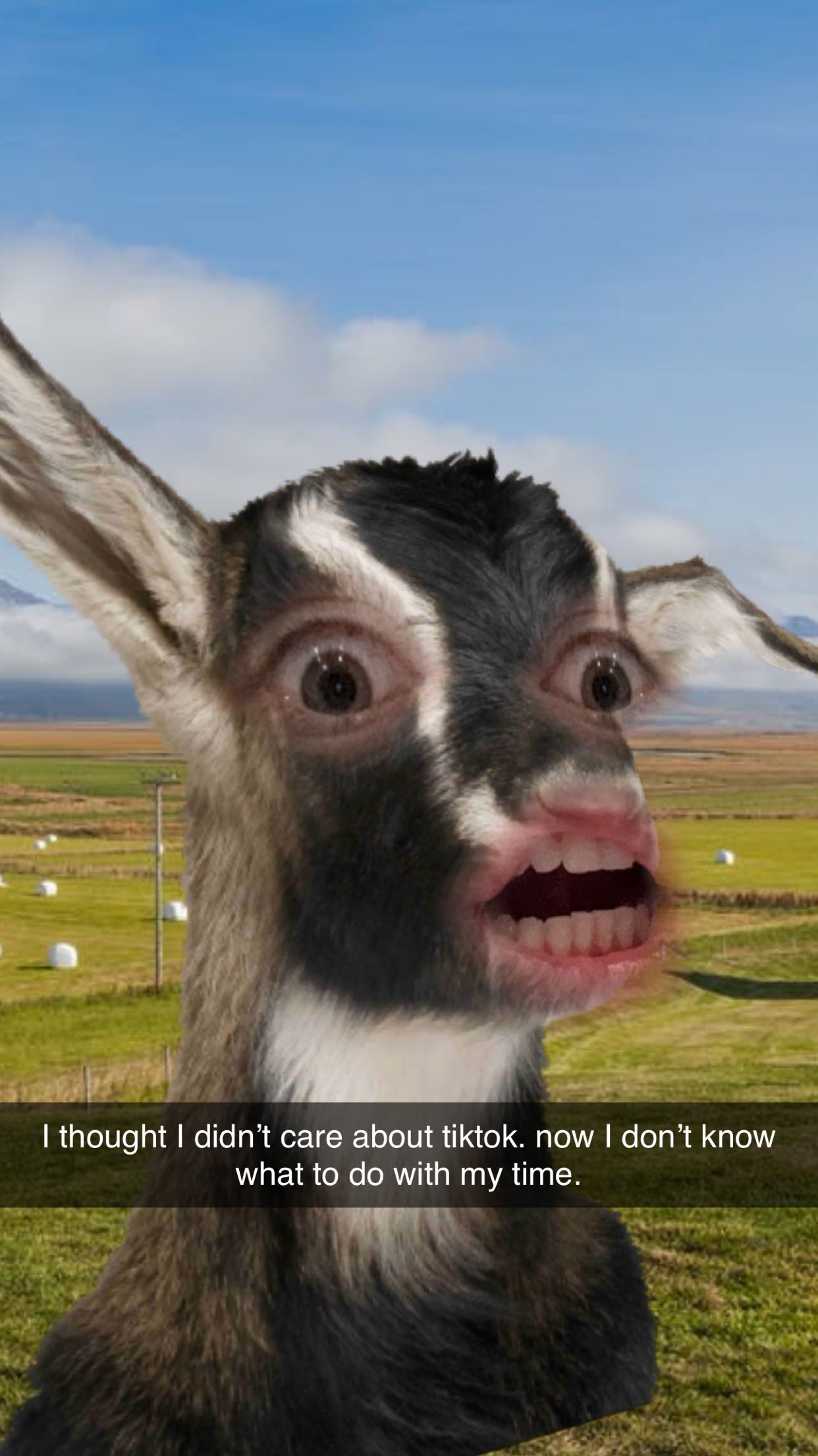 kkierstenking snapchat image archive image