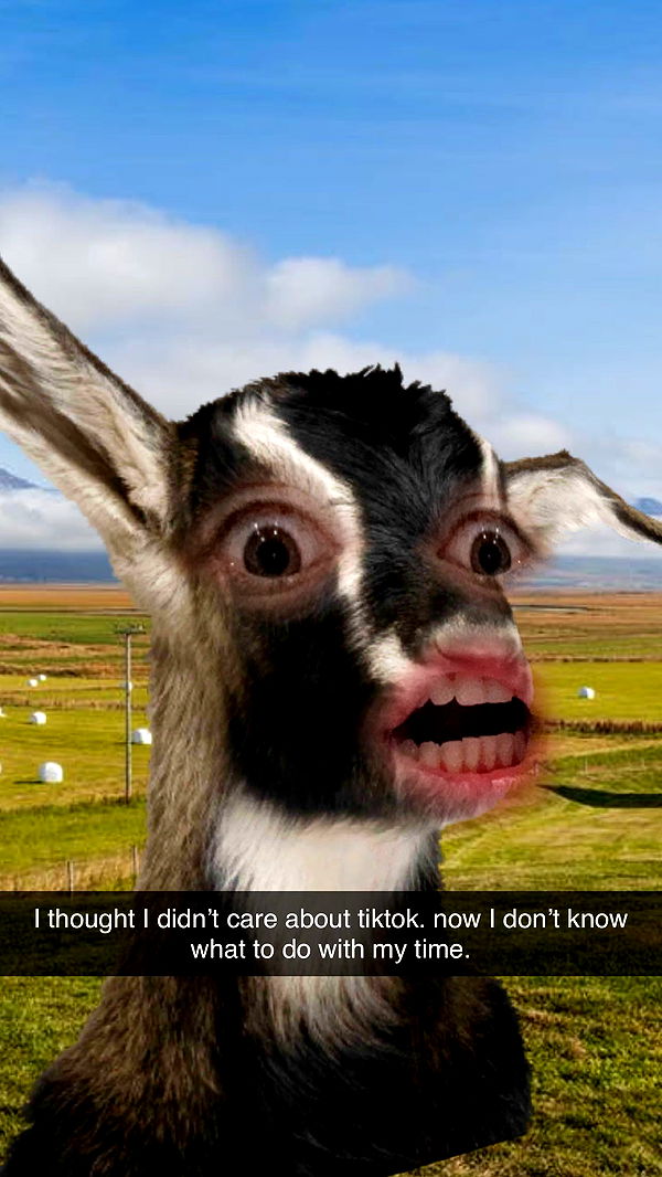 kkierstenking image ~ Altpins